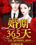 小说婚期365天