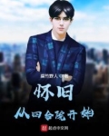 怀旧:从四合院开始 小说