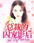 盛世星途：总裁的囚笼影后