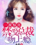一夜惊喜：禁爱总裁吻上瘾