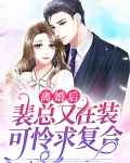 离婚后裴总又在装可怜求复合短剧