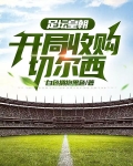 切尔西足球小说