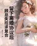 婚情不悔顾少诱宠逃妻第一章离婚协议书