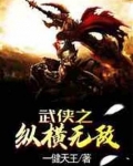 武侠之纵横无敌TXT下载