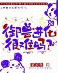 御兽进化商等级划分