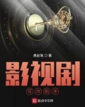 影视剧写作助手 小说