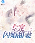 闪婚老公甜宠妻全文免费阅读
