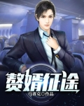 赘婿征途