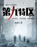第九特区