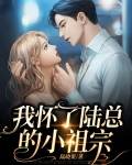 我怀了陆总的小祖宗视频
