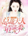 一胎双宝:总裁大人,请温柔