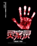 灵案录