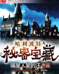 哈利波特与秘密宝藏