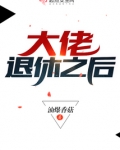 大佬退休之后 百度网盘