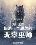 这破巫师不当也罢笔趣阁