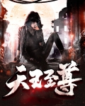 天王至尊电视剧免费观看