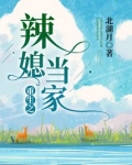 重生之辣媳当家全文在线阅读