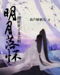 明月落我怀全文阅读免费