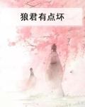 狼君有点坏