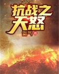 抗战之天怒