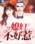 穿越八零媳妇有点辣评价