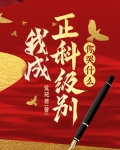 官途，从小科员到一省之首！