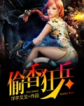 偷香狂兵