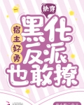快穿：宿主好勇，黑化反派也敢撩