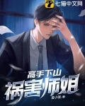 高手下山祸害师姐