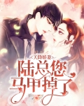 天降娇妻:陆总您马甲掉了