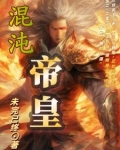 混沌帝皇系统