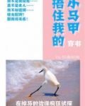 裹紧我的小马甲