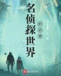 名侦探世界的武者