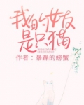 我的女友是只猫