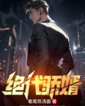 绝代骄婿