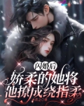 闪婚之后浪漫甜宠小说