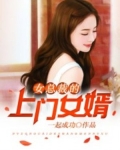 女总裁的上门女婿(又名超级上门女婿)