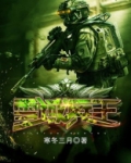 雪域兵王小说