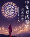 穿越异界,中文竟成禁咒的小说