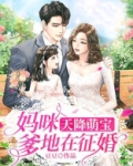 天降萌宝：妈咪，爹地在征婚