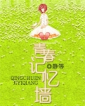 青春记忆墙