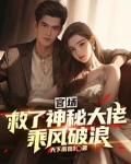 官场小说,第一章,救与不救