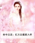 命中注定：亿万总裁爱入怀