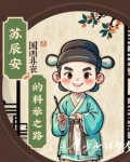 苏辰安的科举之路