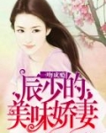 一吻成瘾：辰少的美味娇妻
