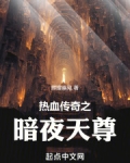 热血传奇之暗夜天尊