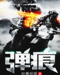 弹痕TXT小说免费下载