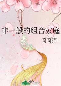 不是一般家庭