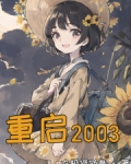 重启2003
