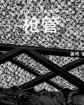 枪管之国土防线